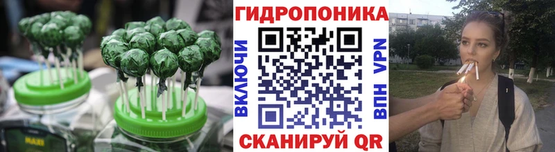 Canna-Cookies марихуана  купить закладку  Мышкин 