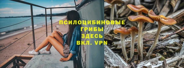 ПСИЛОЦИБИНОВЫЕ ГРИБЫ Алексин